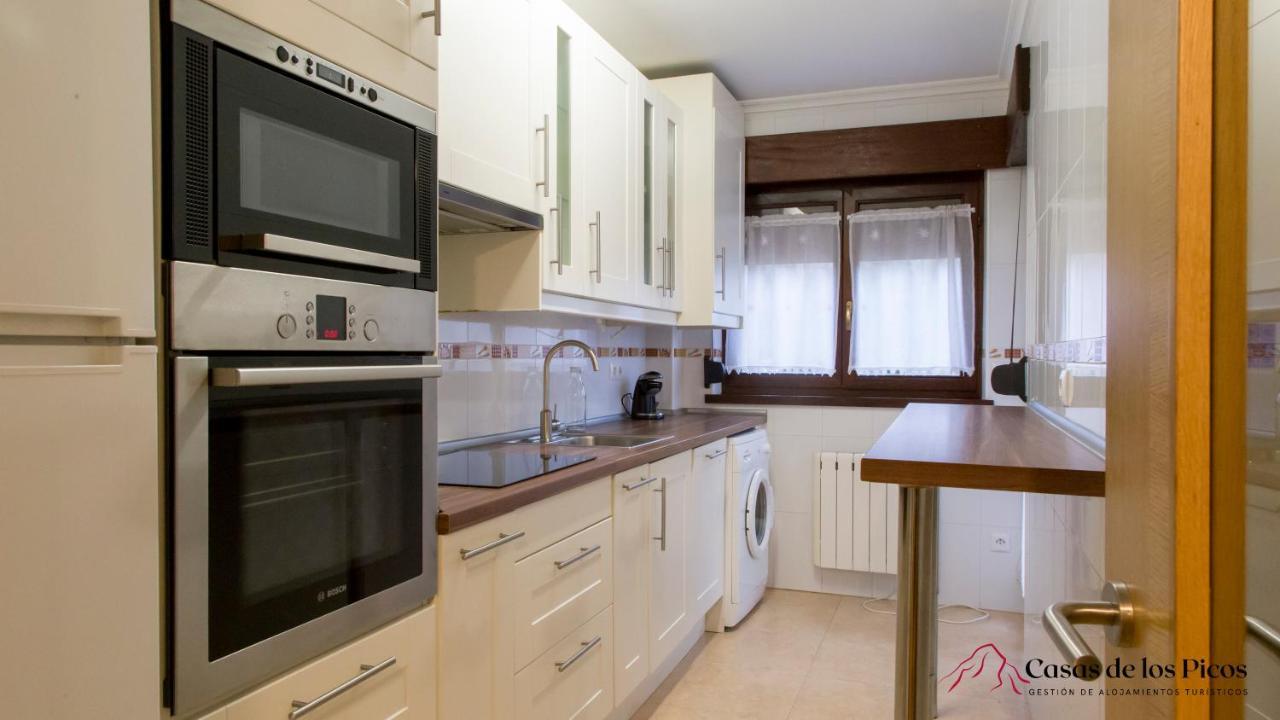 Apartamento El Soplao - Casas De Los Picos Celis Dış mekan fotoğraf